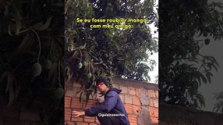 Se eu fosse pegar manga com o amigo 😂 #humor #comedia #videosengraçados #shorts #manga