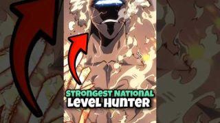 Who are the National Level Hunters? SOLO LEVELING SEASON 2 #sololevelling #jinwoo